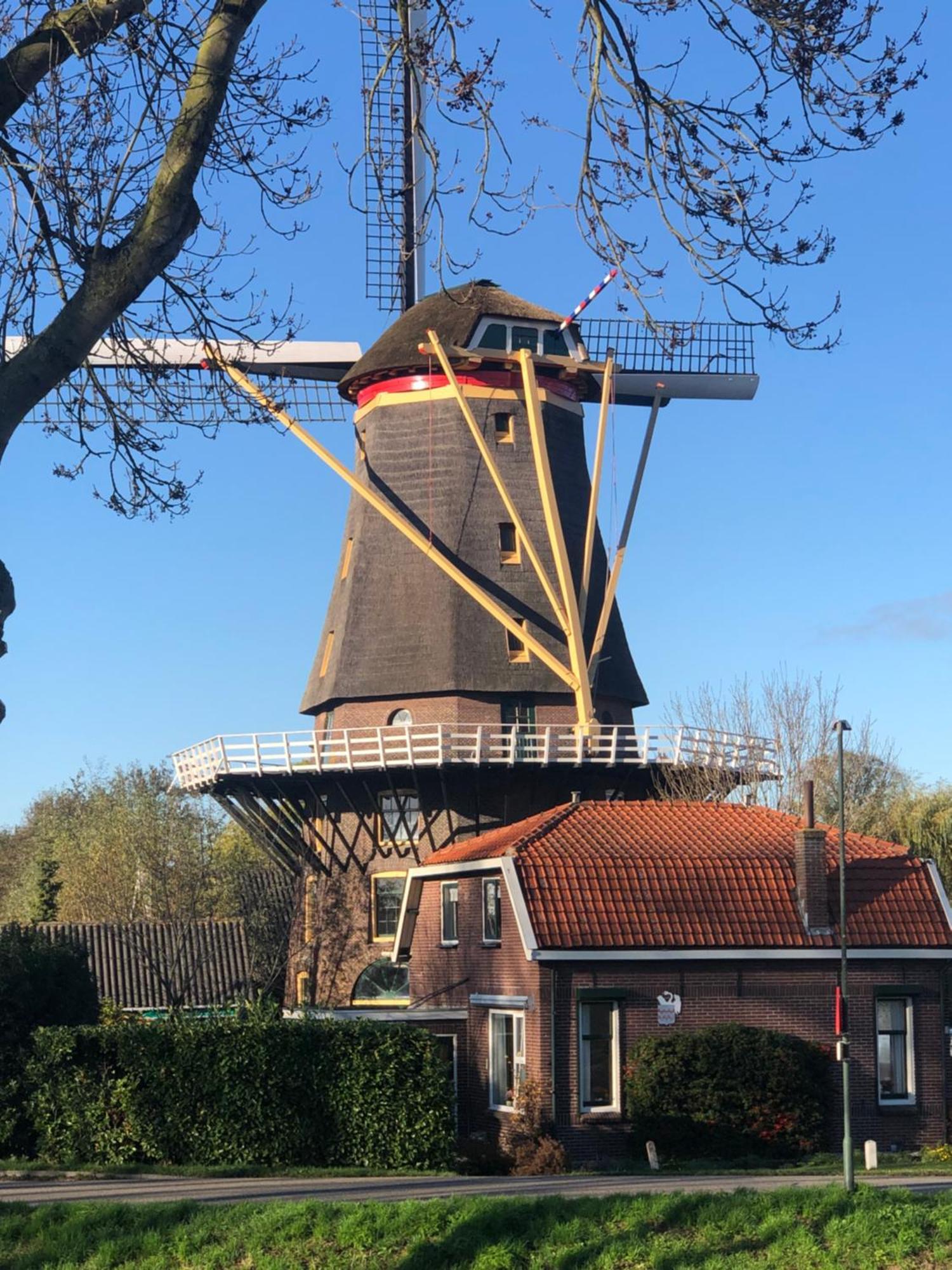 Slapen In De Molen Otel Arkel Dış mekan fotoğraf